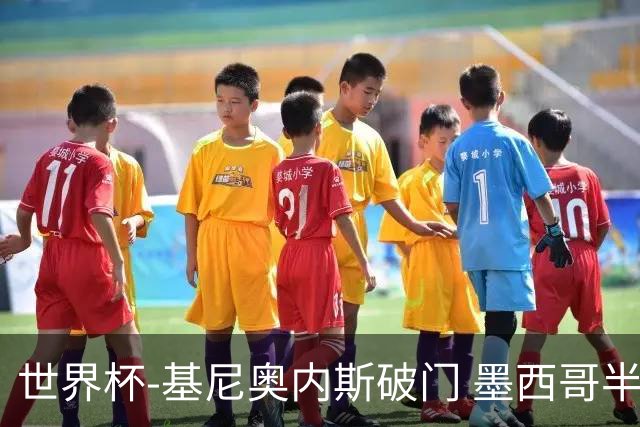 世界杯-基尼奥内斯破门 墨西哥半场1-0领先南非