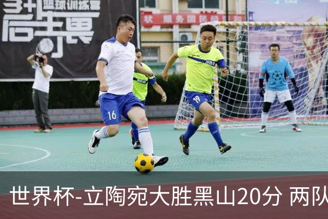 世界杯-立陶宛大胜黑山20分 两队携手晋级16强