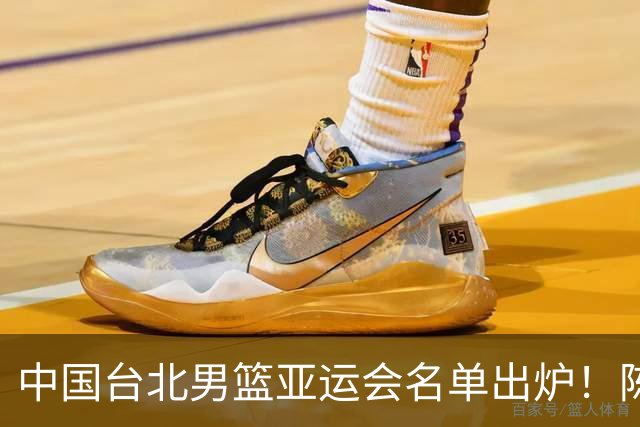 中国台北男篮亚运会名单出炉！陈盈骏林庭谦领衔，刘铮回归，中国男篮拦路虎？