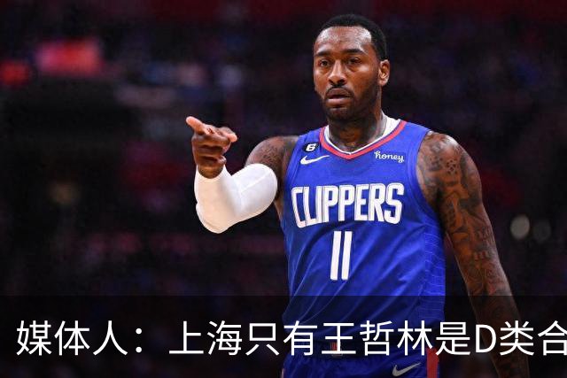 媒体人：上海只有王哲林是D类合同 剩余两个顶薪或给张镇麟李弘权