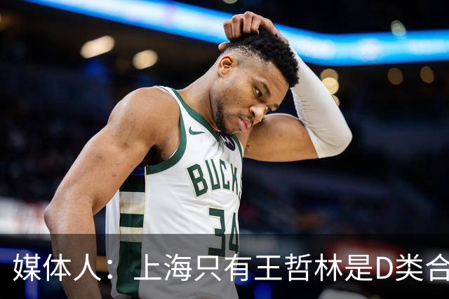 媒体人：上海只有王哲林是D类合同 剩余两个顶薪或给张镇麟李弘权