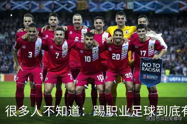 很多人不知道：踢职业足球到底有多难？天赋仅仅只是入场券！