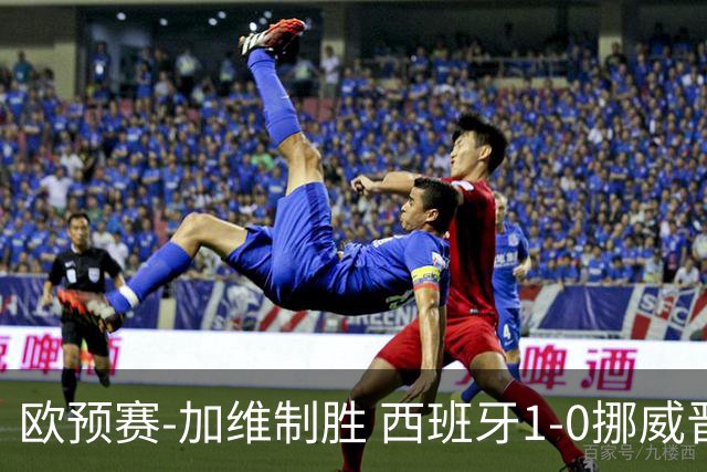 欧预赛-加维制胜 西班牙1-0挪威晋级欧洲杯正赛