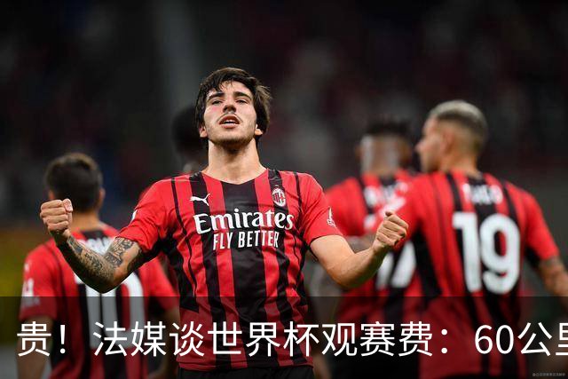 贵！法媒谈世界杯观赛费：60公里火车98美元，有人4天花4500欧元