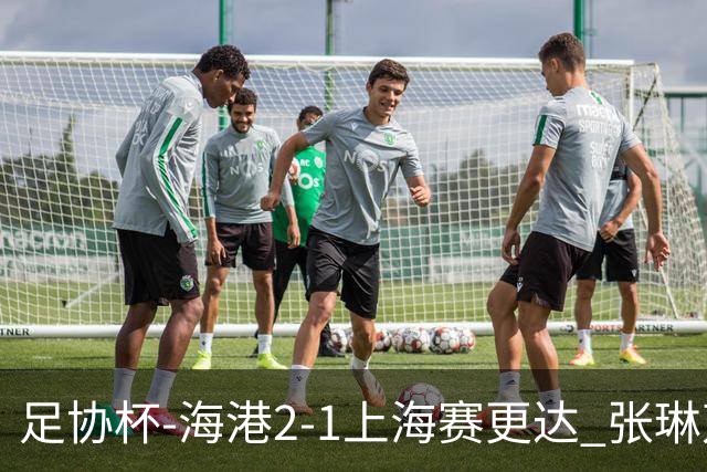 足协杯-海港2-1上海赛更达 张琳芃、刘祝润破门 李新翔失良机